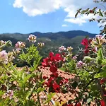 Apartman Rastoni *