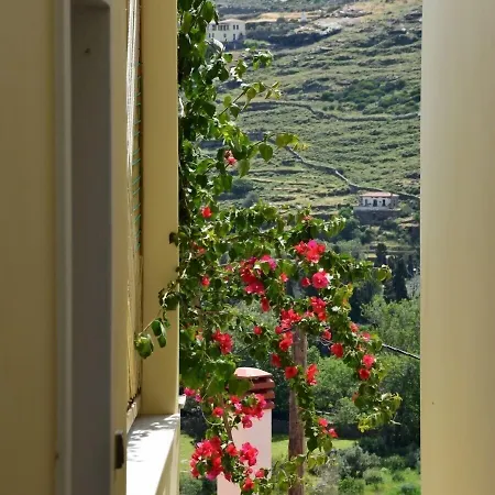 Rastoni Apartment Ándros